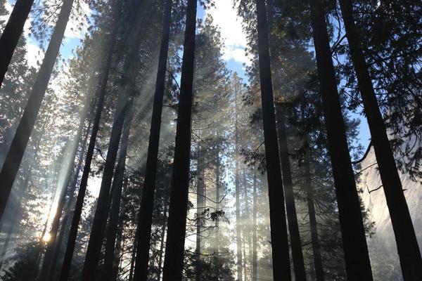 Comfort Inn Ginza photo 4