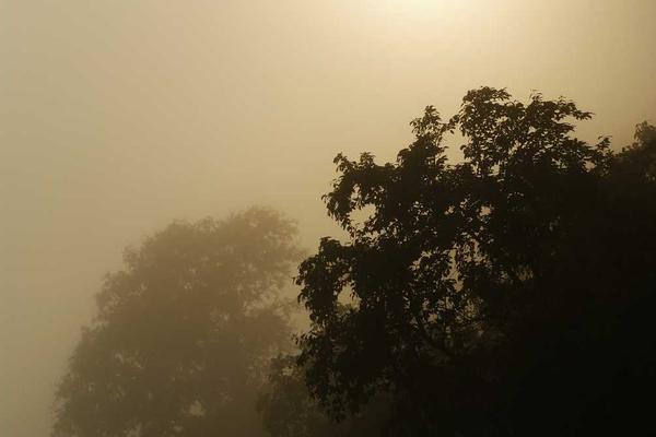 Sakura House Meguro photo 3