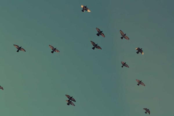 Harmony Residence Toyosu photo 2